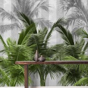 Palm spring.jpg